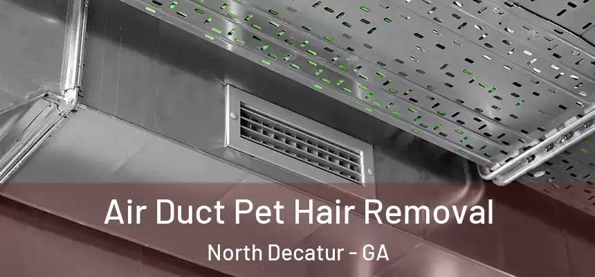  Air Duct Pet Hair Removal North Decatur - GA