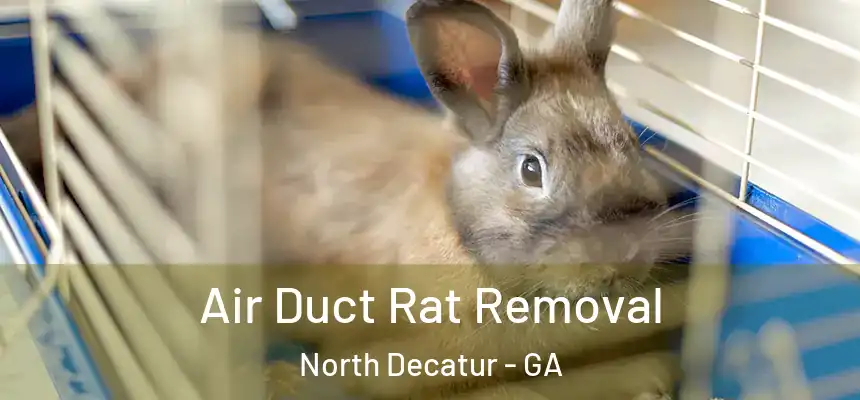  Air Duct Rat Removal North Decatur - GA