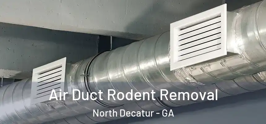  Air Duct Rodent Removal North Decatur - GA