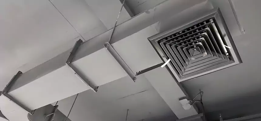 Restorative Allergy Relief Vent Cleaning – Coil, Blower & Housing Detail in North Decatur