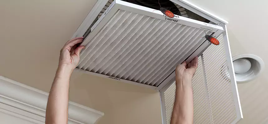 Our Insect Removal from Air Ducts Services in North Decatur, GA
