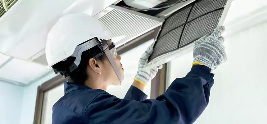 Our Mold & Mildew Removal from Air Ducts Services in North Decatur, GA