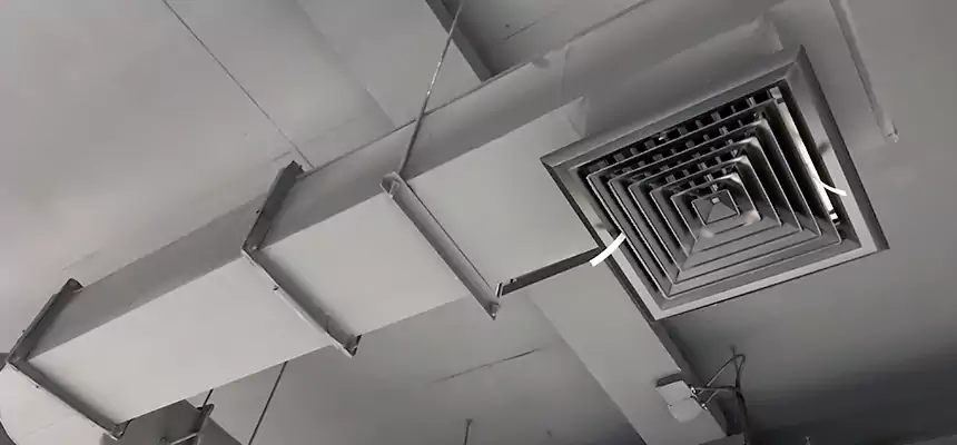 Our Pest Removal From Ducts Services in North Decatur, GA