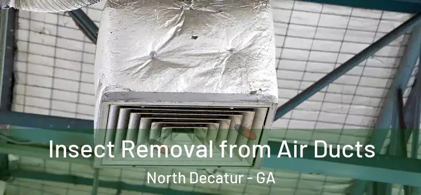  Insect Removal from Air Ducts North Decatur - GA