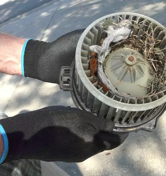 About Air Duct Mice Removal in North Decatur, GA