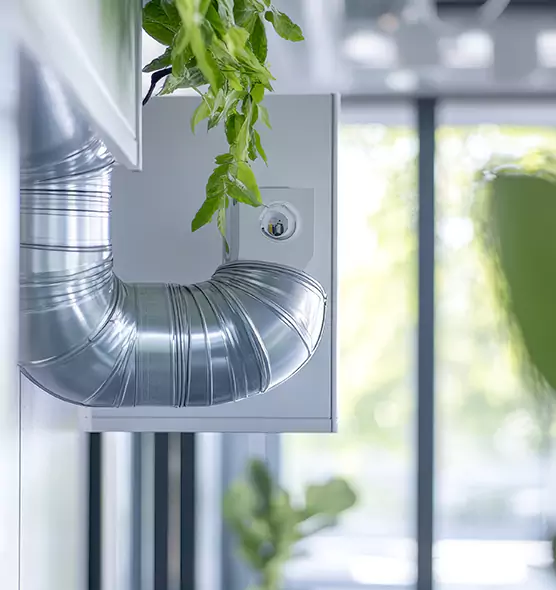 Professional Eco-Safe Dryer Vent Cleaning in North Decatur, GA