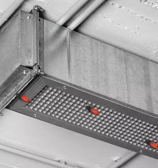 Affordable Insect Removal from Air Ducts in North Decatur, GA