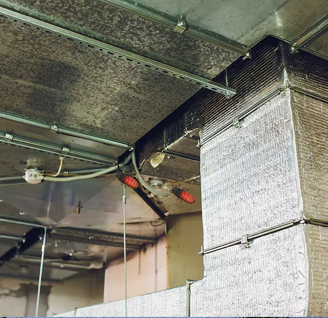 Why Homeowners & Businesses Trust Us North Decatur, GA?